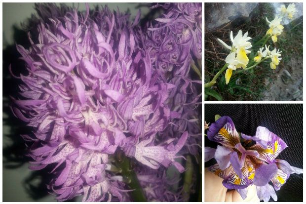 photo: Εύα Παρακεντάκη