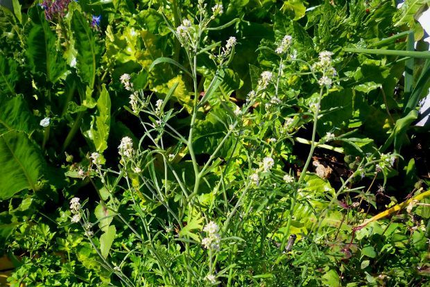 photo: Άντυ Παξινός