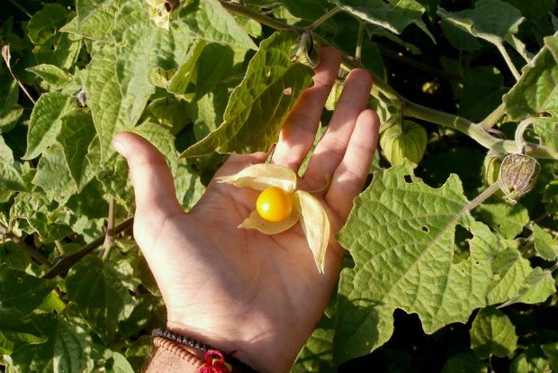 photo: Άντυ Παξινός