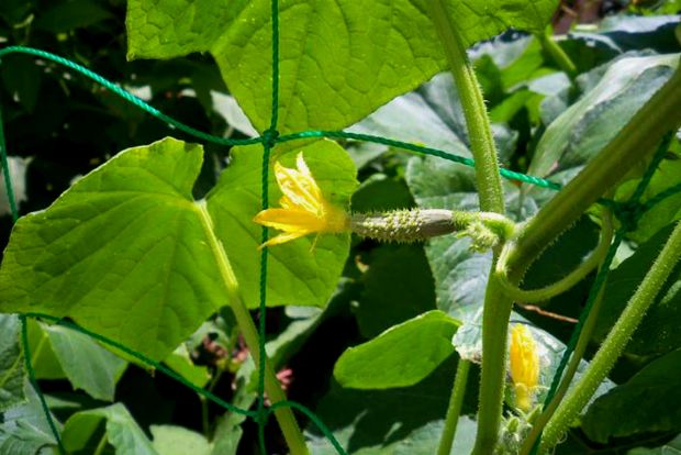 photo: Άντυ Παξινός