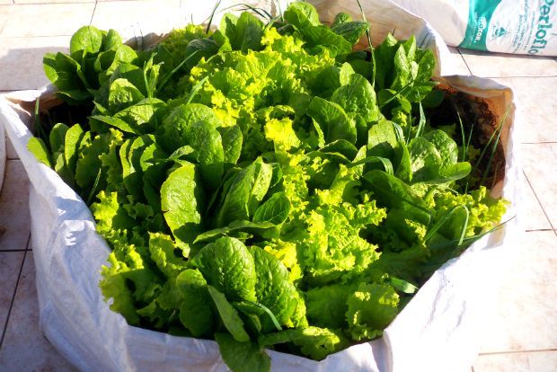 photo: Άντυ Παξινός