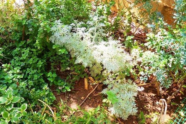 photo: Άντυ Παξινός