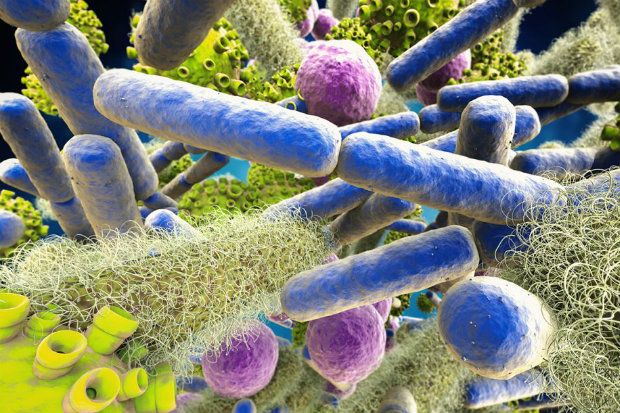 Ο κιμάς βρίσκεται στην κορυφή της λίστας των τροφίμων που ενοχοποιούνται για δηλητηριάσεις [Javier Lastras / Flickr]