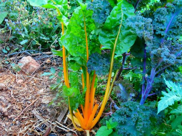 photo: Άντυ Παξινός