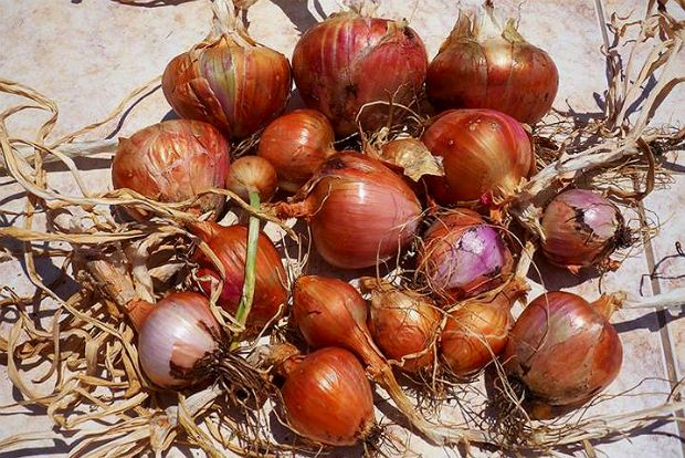 photo: Άντυ Παξινός