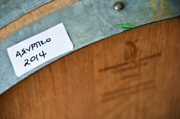 Μαλακό τυράκι με ανθάκια σχοινόπρασου. Φωτό: Έβελυν Φώσκολου