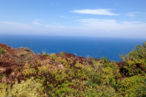 Η ψυχή της εκδήλωσης, Κατερίνα Μαρινάκη, λαογράφος και εκδότρια -δημοσιογράφος των εκδόσεων "Ταξιδεύοντας στο Αιγαίο", ο Γιώργος Πίττας, συγγραφέας και υπεύθυνος του προγράμματος "Ελληνικό Πρωινό" και ο Δημήτρης Ρουσουνέλος, συγγραφέας και ιδρυτής της Λέσχης Γαστρονομίας Μυκόνου, φωτό: Κική Τριανταφύλλη