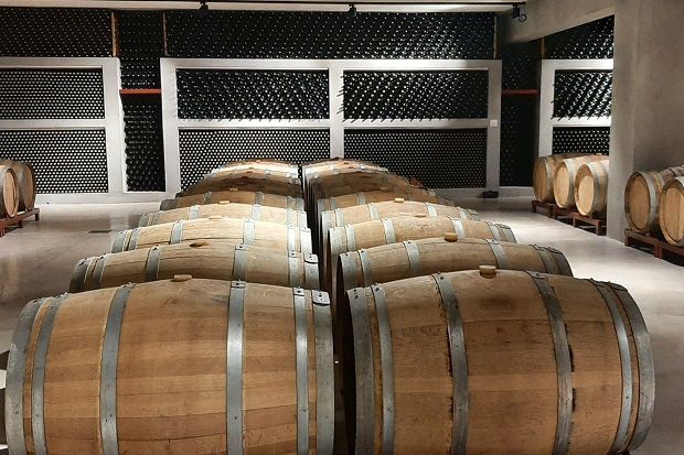 Τα κρασιά παλαιώνουν στην σύγχρονη κάβα του οινοποιοείου η κατασκευή του οποίου ολοκληρώθηκε πρόσφατα
