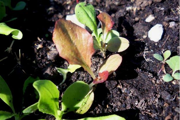 photo: Άντυ Παξινός