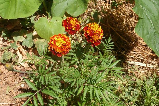 photo: Άντυ Παξινός