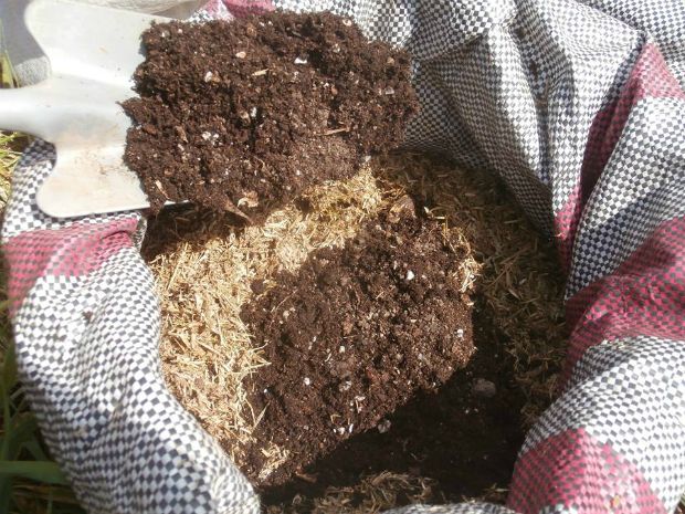 photo: Άντυ Παξινός