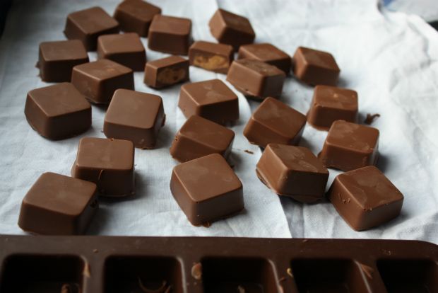 photo: Ξανθή Μπαξεβάνη