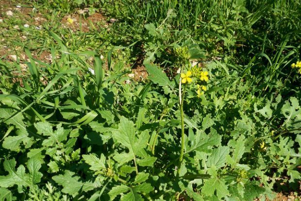 photo: Άντυ Παξινός