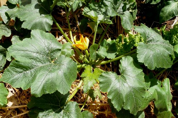 photo: Άντυ Παξινός