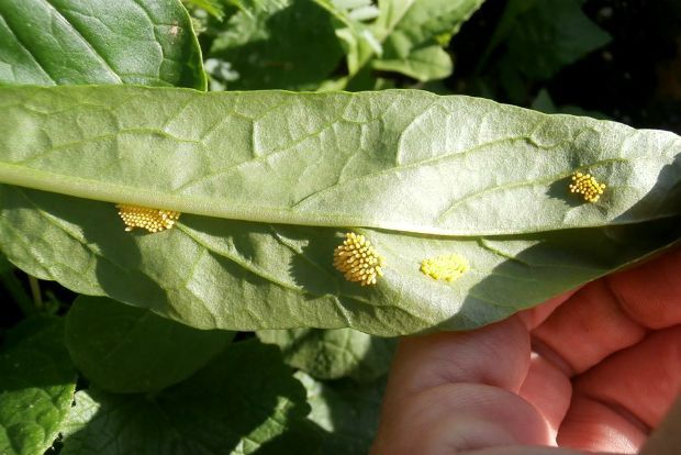 photo: Άντυ Παξινός