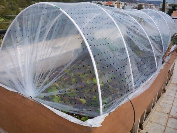 photo: Άντυ Παξινός