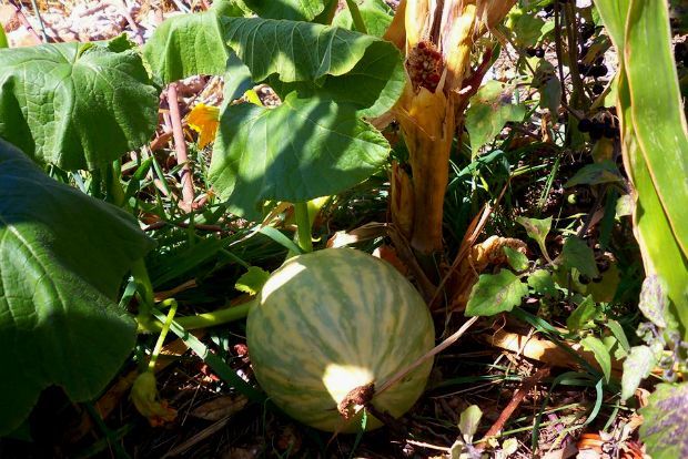 photo: Άντυ Παξινός