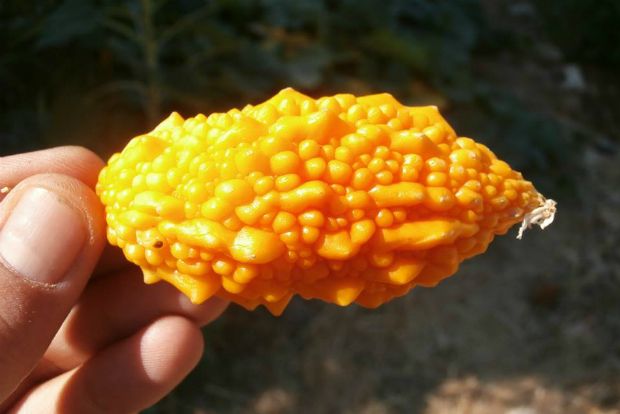 photo: Άντυ Παξινός