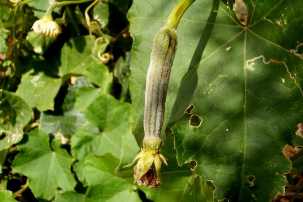 photo: Άντυ Παξινός