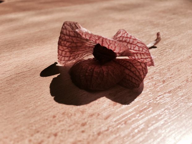 photo: Στέλλα Αλαφούζου