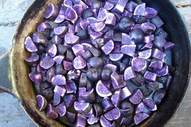 Photo: nearlywildlife/Flickr