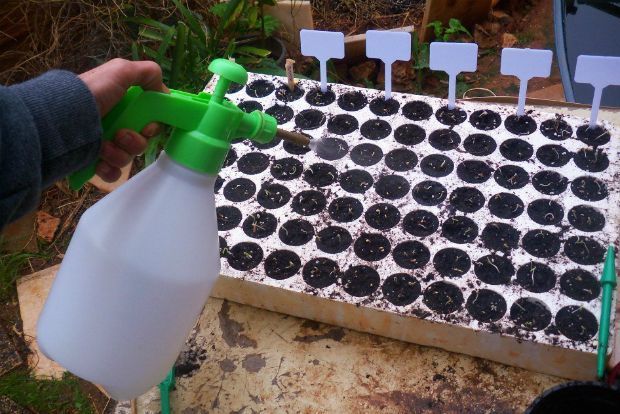 photo: Άντυ Παξινός