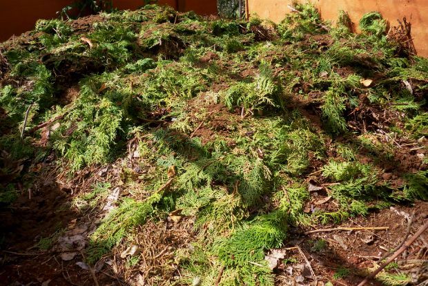 photo: Άντυ Παξινός