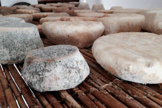 Καζάνι, τυρόσκαμνος, ταράχτης, τυροβόλια / φωτό: Κική Τριανταφύλλη