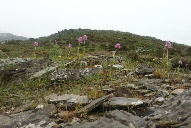 photo: Εύα Παρακεντάκη