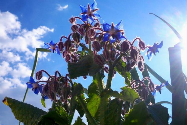 photo: Άντυ Παξινός