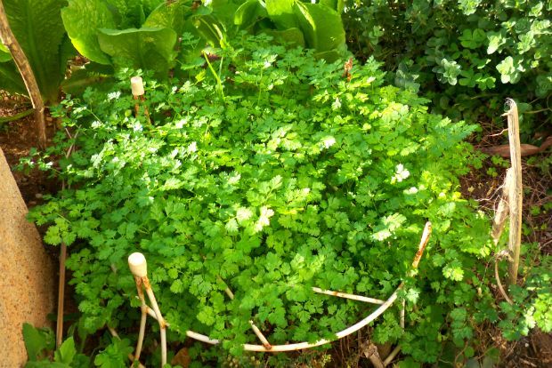 photo: Άντυ Παξινός