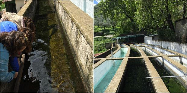 Καστόρι, photo: Κική Τριανταφύλλη