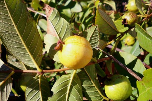 photo: Άντυ Παξινός