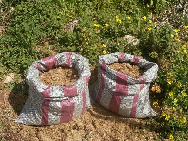 photo: Άντυ Παξινός