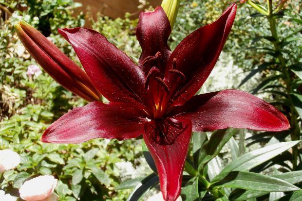 photo: Άντυ Παξινός