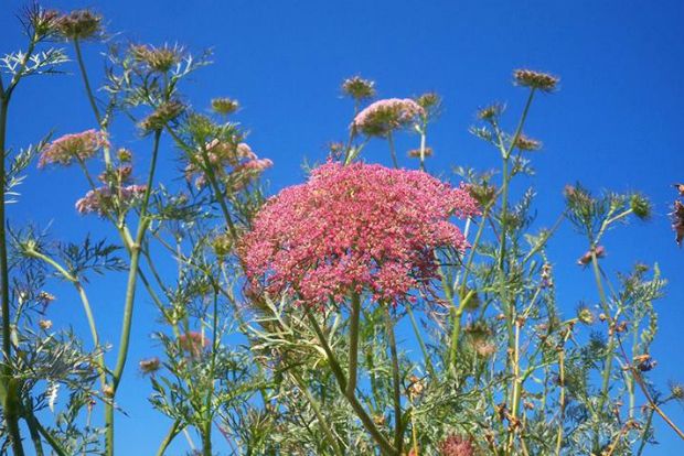 photo: Άντυ Παξινός