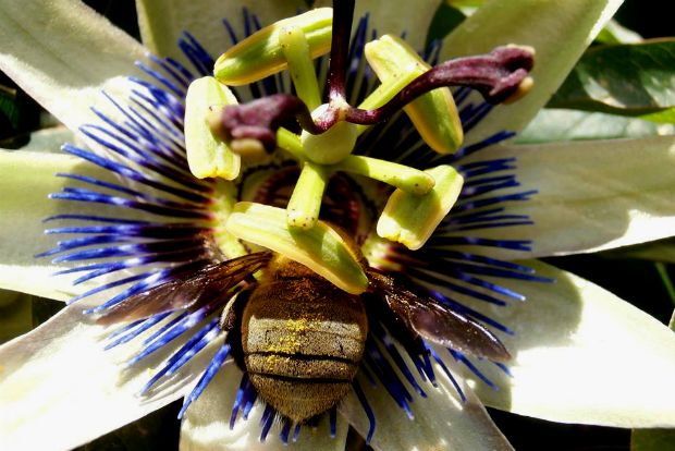 photo: Άντυ Παξινός