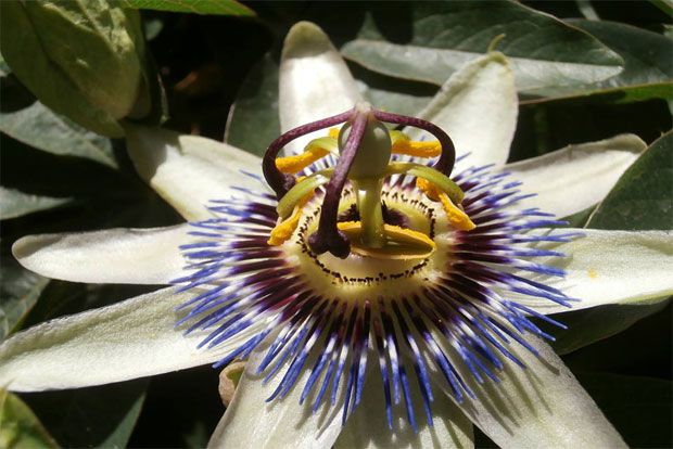 Photo: Αντυ Παξινός