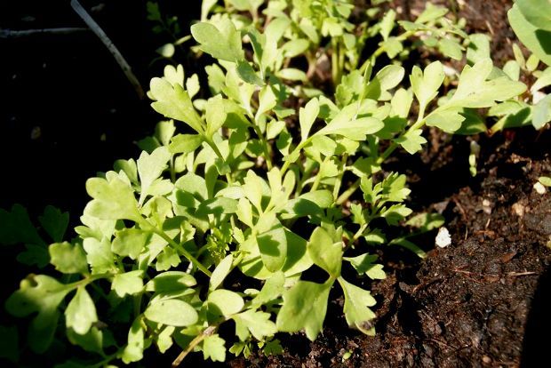 photo: Άντυ Παξινός