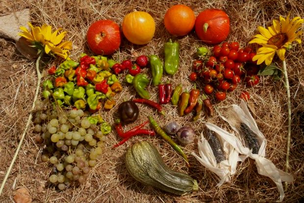 photo: Άντυ Παξινός