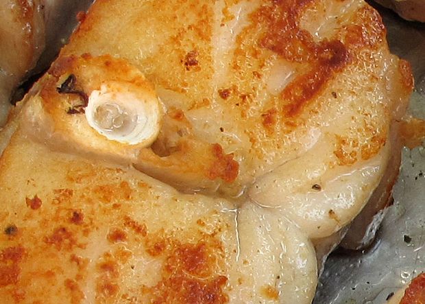 photo: Νίκος Μορόπουλος