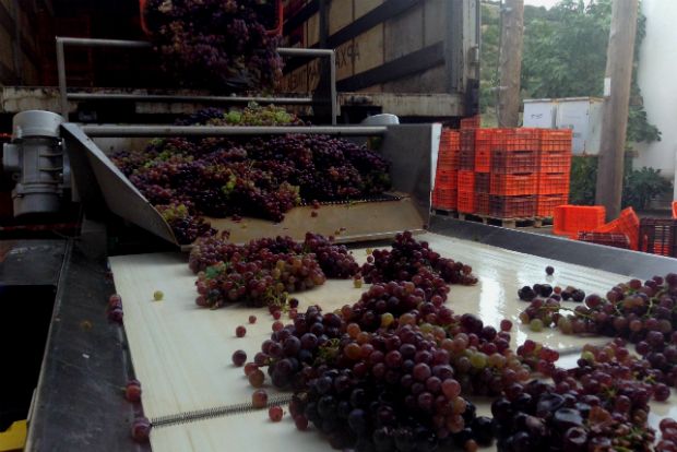 photo: Δημήτρης Μπούτος