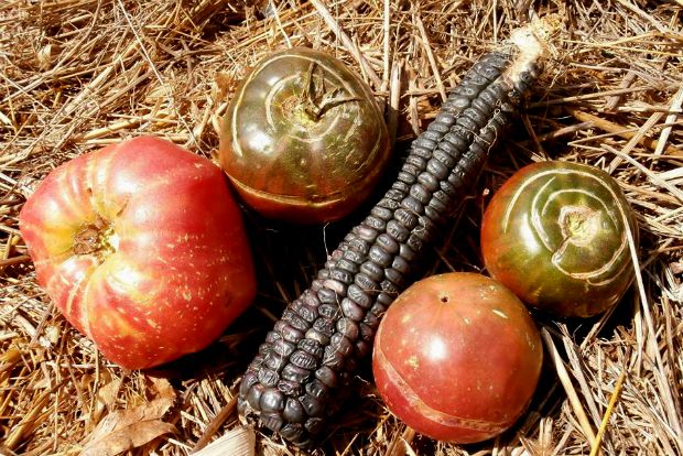 photo: Άντυ Παξινός