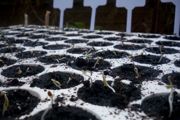 photo: Άντυ Παξινός