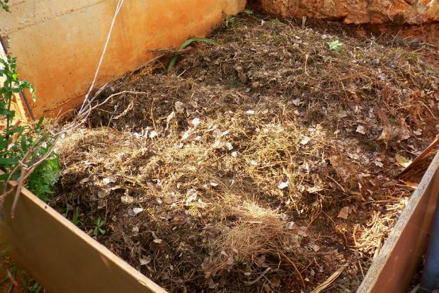 photo: Άντυ Παξινός