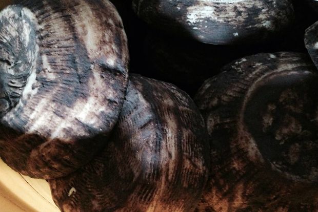 φωτό: Κική Τριανταφύλλη