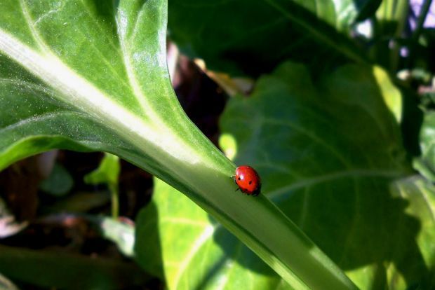 photo: Άντυ Παξινός