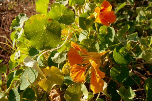 photo: Άντυ Παξινός