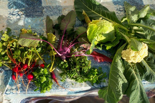 photo: Άντυ Παξινός