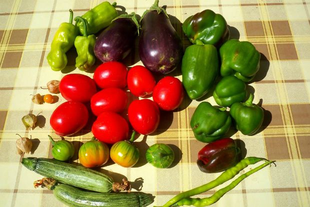 photo: Άντυ Παξινός